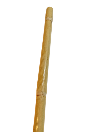 10er Pack Escrima Stock Rattan ungeschält 65 cm - Stabil mit Aussenschale - Stick Arnis Kali